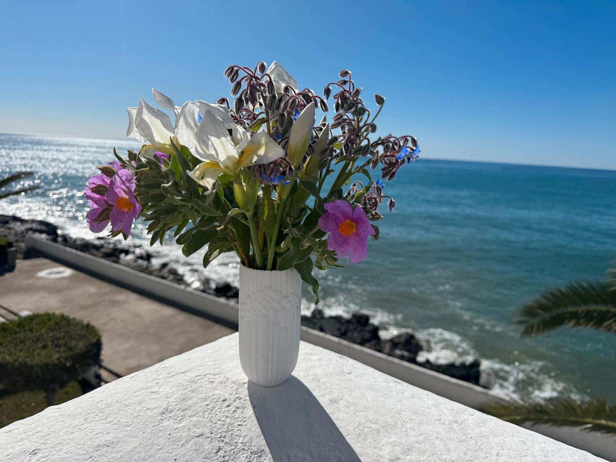 Apartment Sea Breeze
